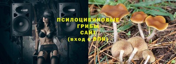 сатива Верея