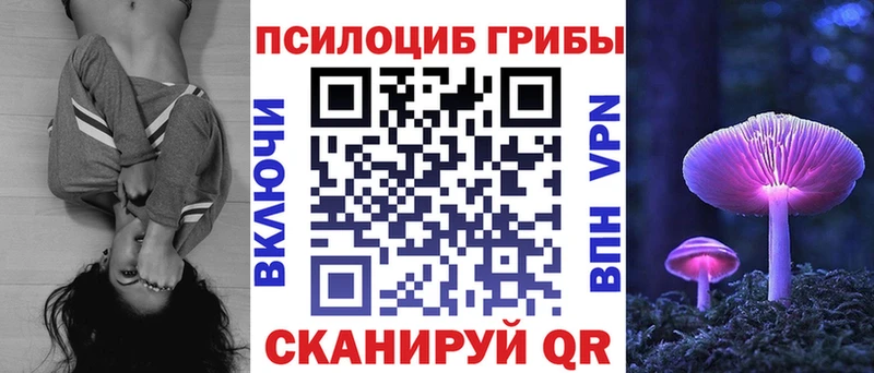 Псилоцибиновые грибы Cubensis  дарк нет клад  Глазов  купить  сайты 